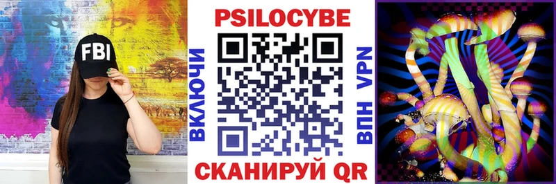 KRAKEN ссылка  закладки  Мытищи  даркнет клад  Псилоцибиновые грибы Cubensis 